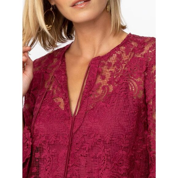 NEW JOHNNY WAS Women’s S Harper Lace Mini Dress  $388 MSRP - Picture 6 of 9